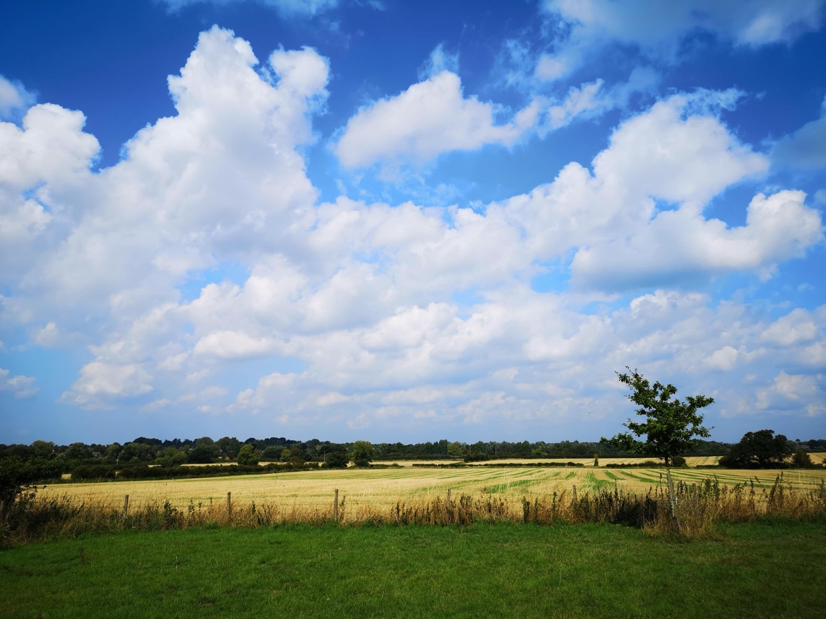 Evening light at Meadow Cottage CL